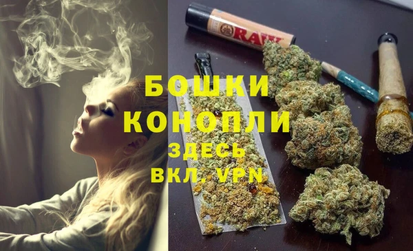 ПСИЛОЦИБИНОВЫЕ ГРИБЫ Кодинск
