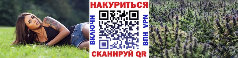 Купить закладки  Гудермес  Бошки Шишки сатива 